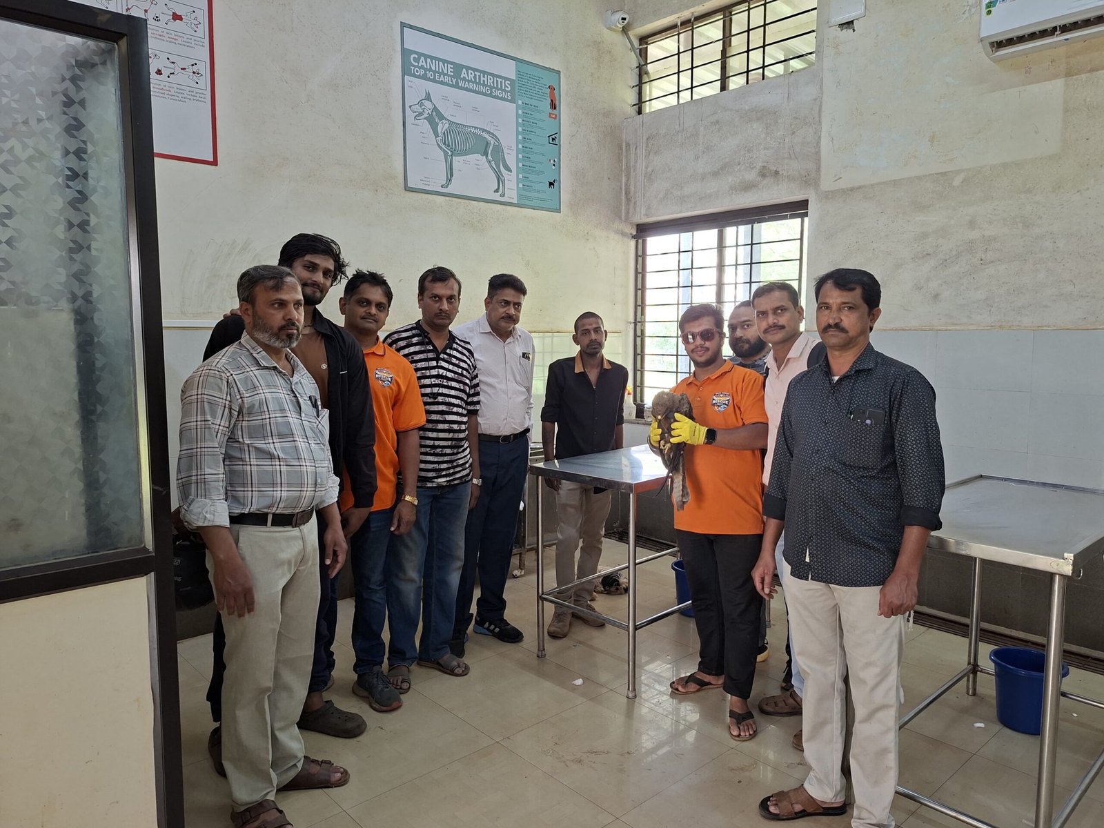 जखमी गरुडाचे रेस्क्यू; वनविभागाकडे सुरक्षित सुपूर्द