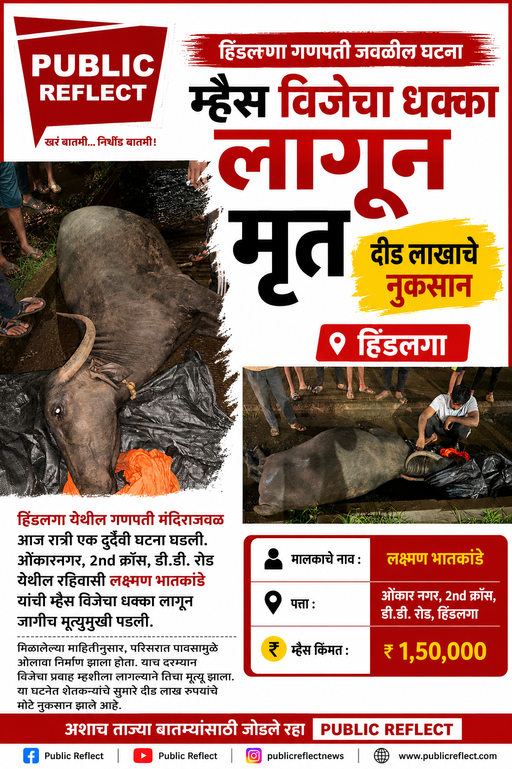 हिंडलगा गणपतीजवळ विजेचा धक्का लागून म्हशीचा मृत्यू; दीड लाखांचे नुकसान
