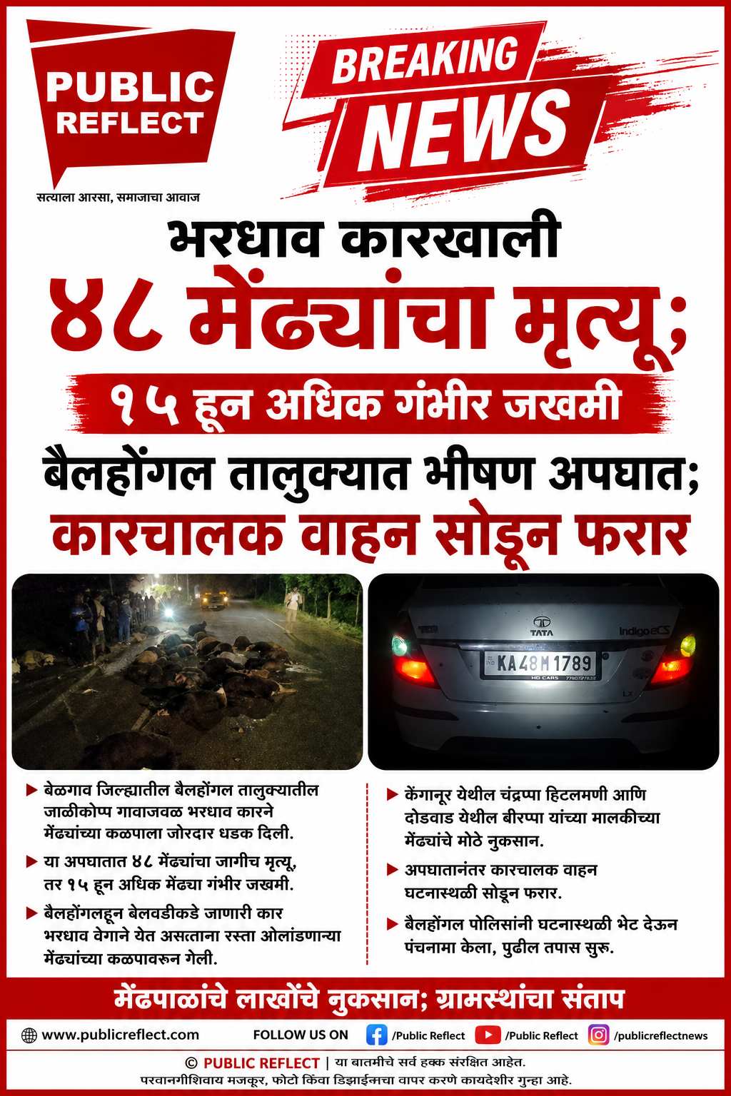 भरधाव कारने चिरडल्या ४८ मेंढ्या; १५ हून अधिक गंभीर जखमी